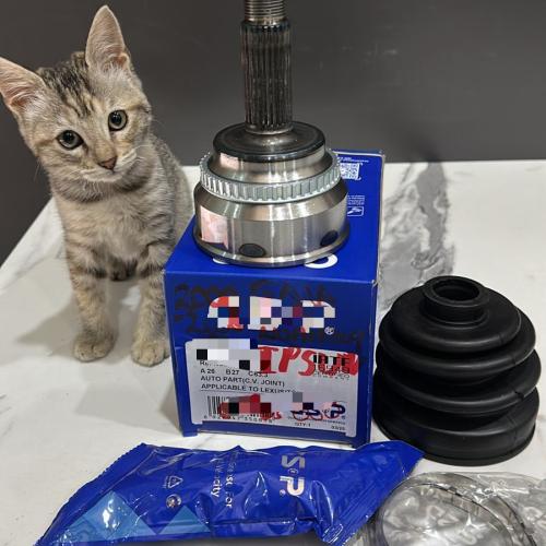 Junta GSP Ipsun- Noah A26B27C63.3 859175